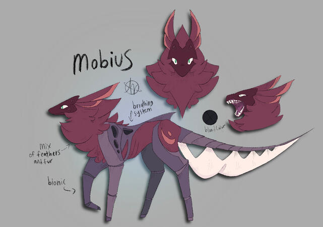 Mobius' ref